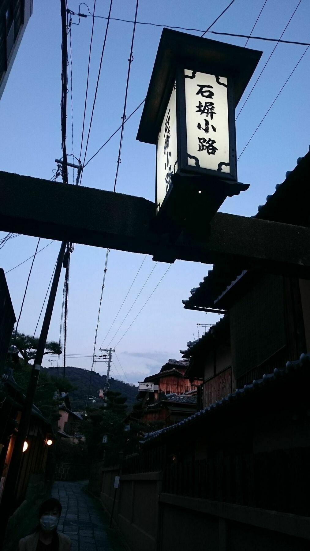 Kyonoyado Senkaku Bettei Villa Kyoto Bagian luar foto